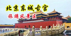 操逼啊啊啊啊啊啊视频中国北京-东城古宫旅游风景区